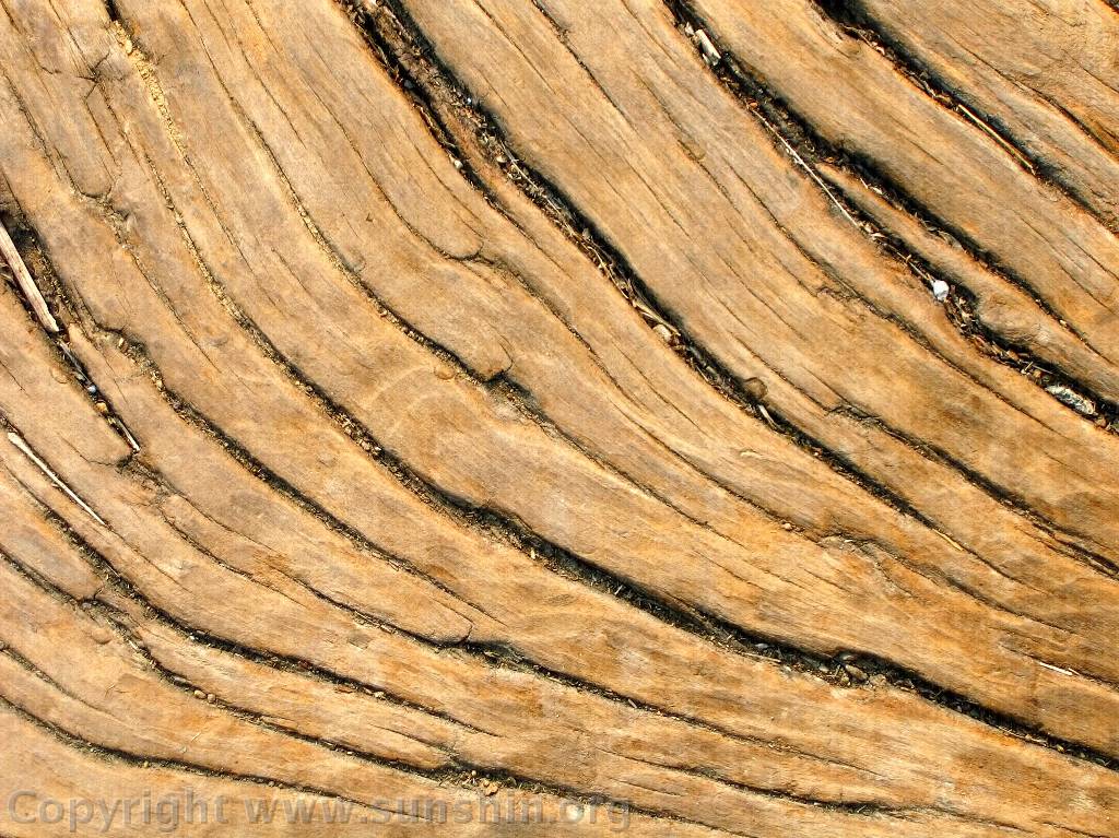 Old Wood Grain Pattern