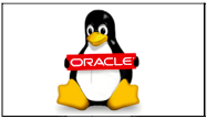 Oracle Linux Icon