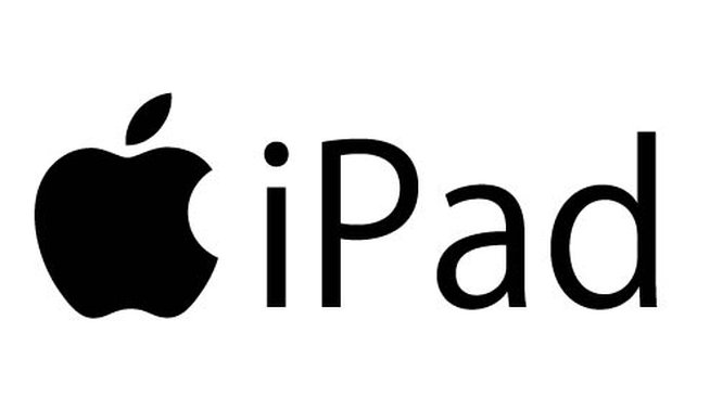 Pay Apple Logo