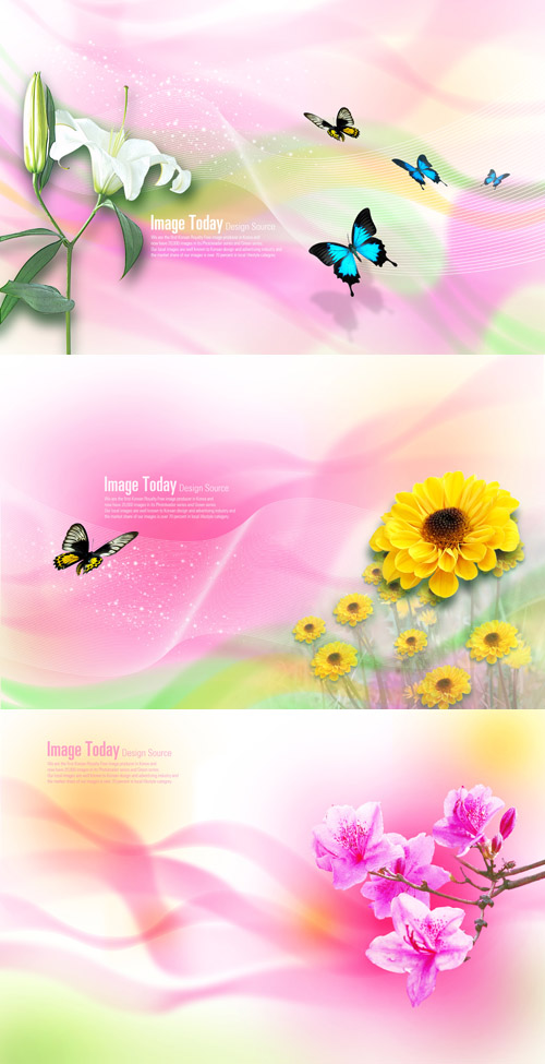 Photoshop PSD Free Download