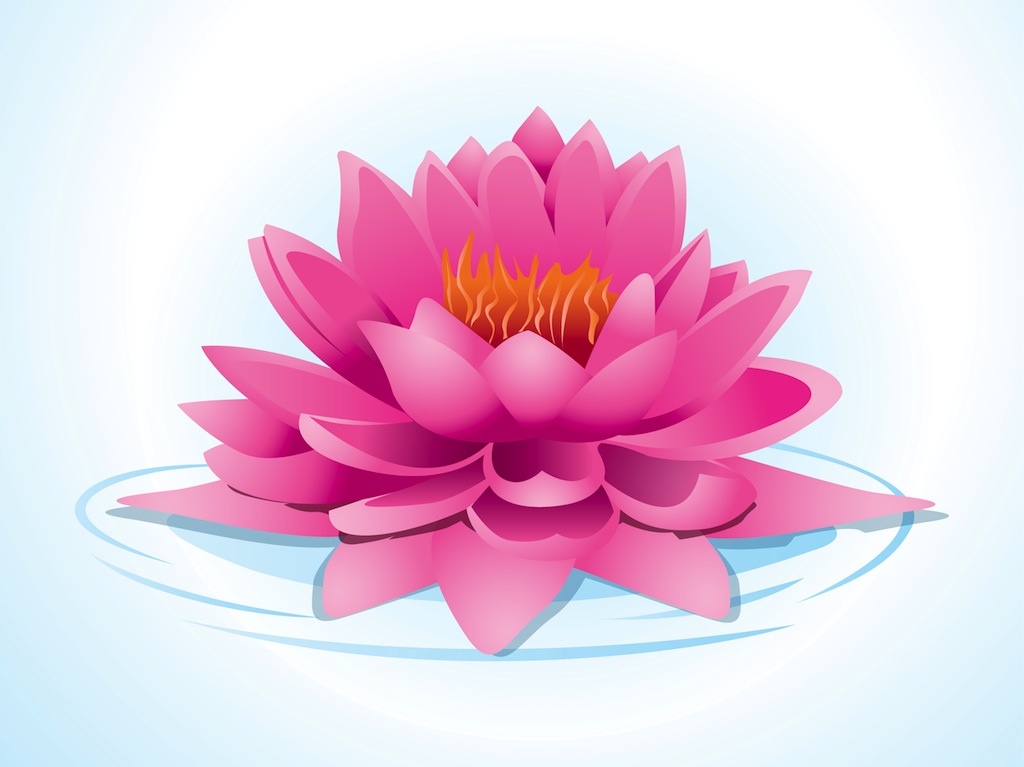 Pink Lotus Flower Clip Art