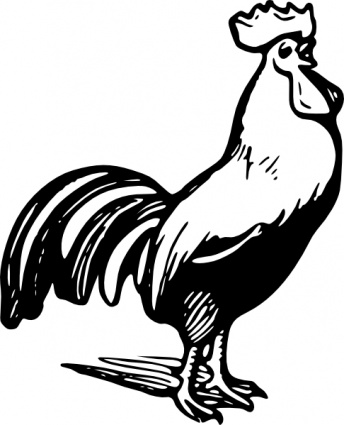 Rooster Clip Art