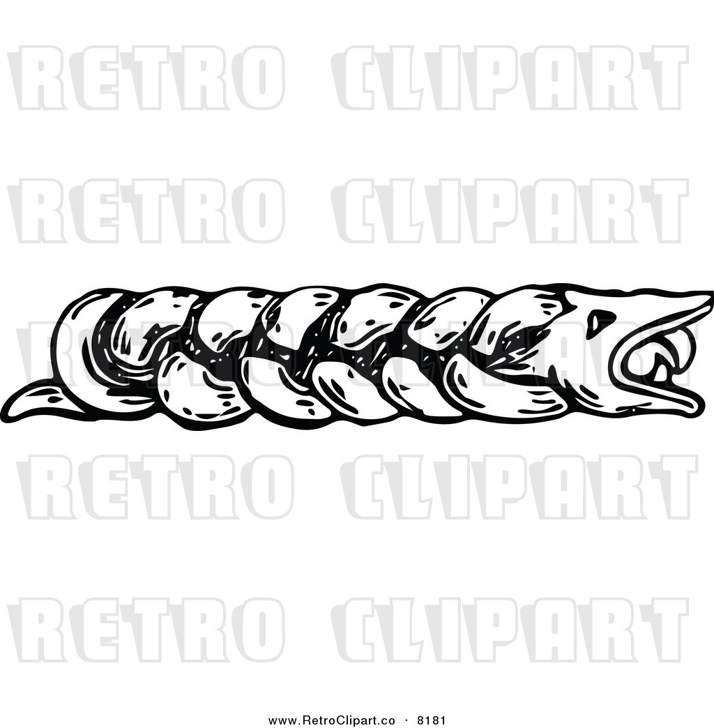 Snake Black and White Border Clip Art