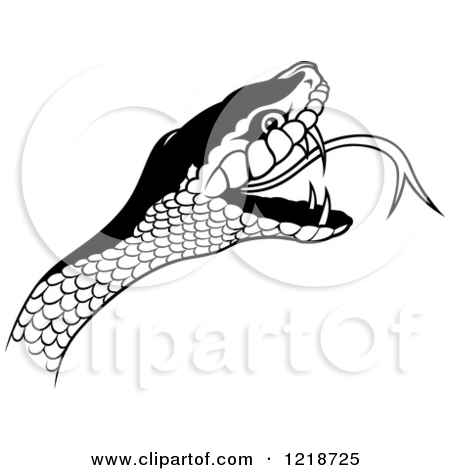Snake Head Clip Art Black and White