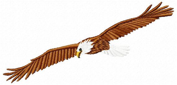 Soaring Eagle Embroidery Design