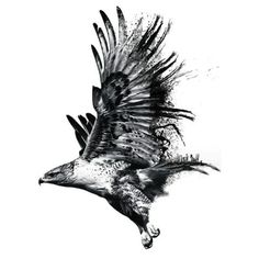 Soaring Eagle Tattoo
