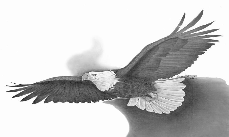 Soaring Eagle Wings Drawings