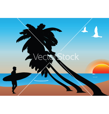 Surfer Vector
