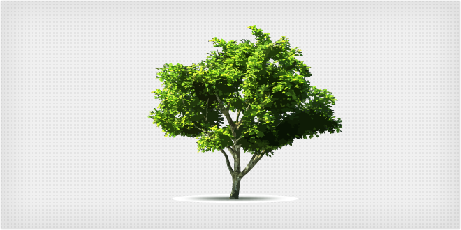 Vector Tree Collection