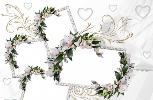 Wedding Frame Photoshop Free Download Wedding Frame Photoshop Free Download