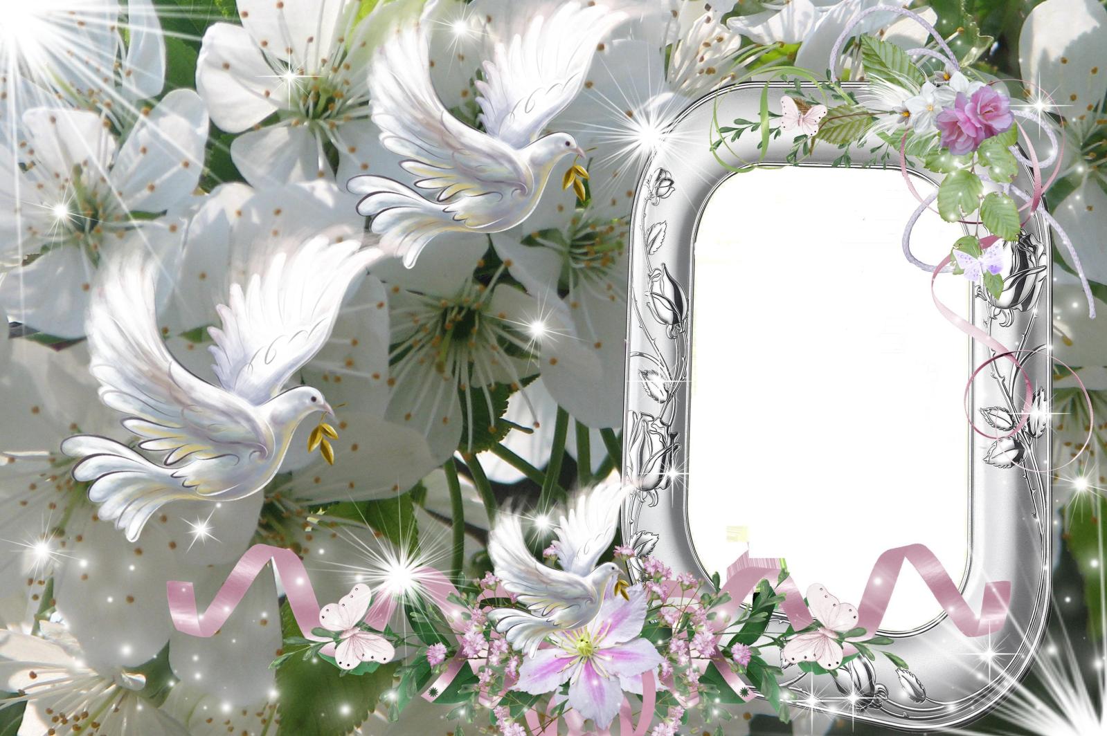 Wedding Frames PSD