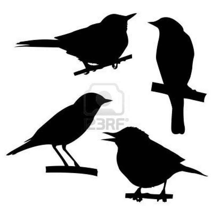 Birds On Branch Silhouette