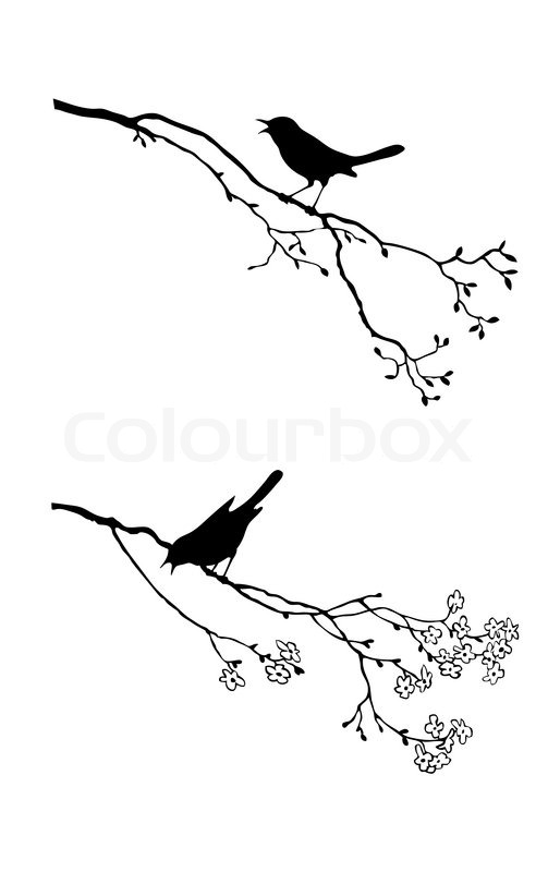Birds On Tree Branch Silhouette Vector