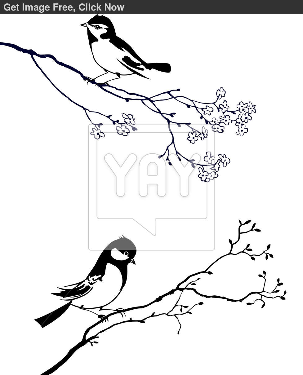 Birds On Tree Branch Silhouette Vector