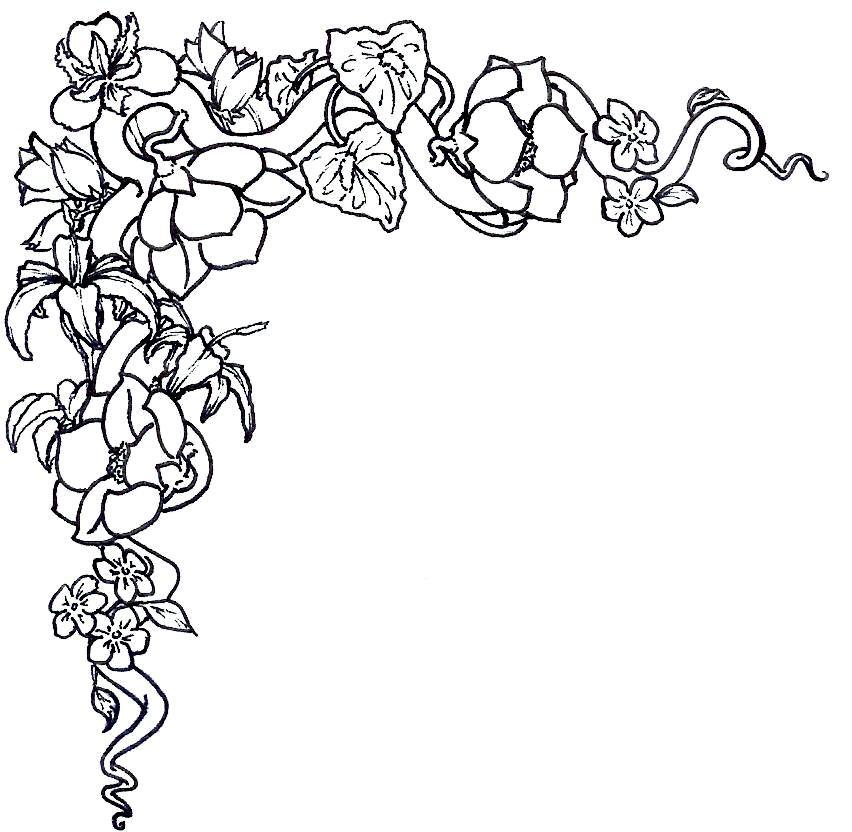 Black and White Flower Borders Free Black and White Flower Borders Free
