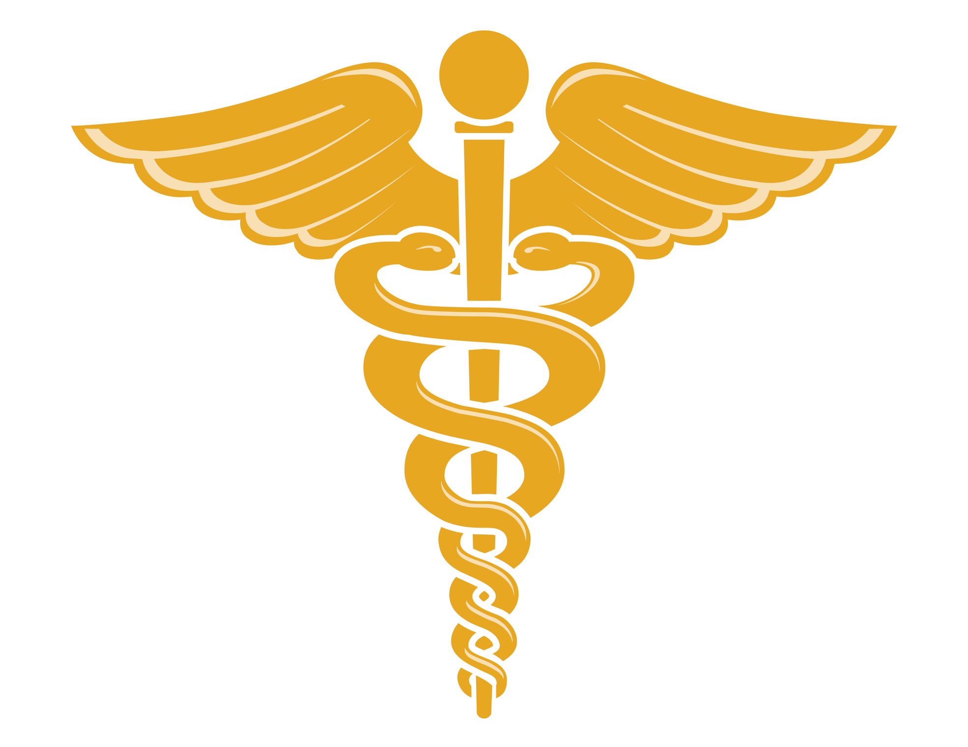 Caduceus Medical Symbol Vector