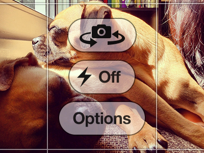 Camera Screen iPhone 5 PSD Camera Screen iPhone 5 PSD