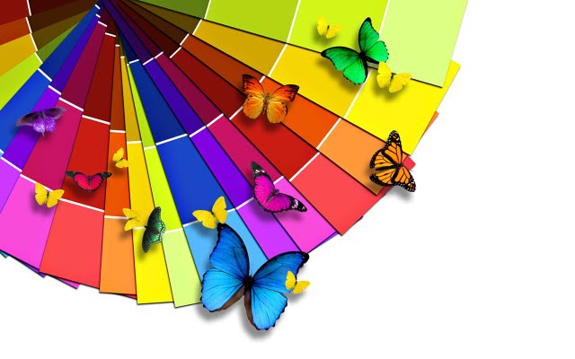 Colorful Butterflies Colors