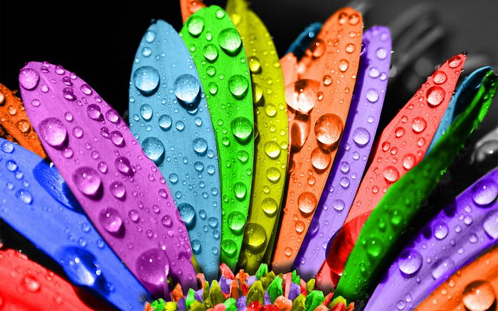 Cool Colorful Flower Designs Cool Colorful Flower Designs