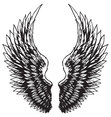 Eagle Wings Drawings