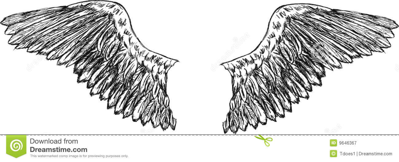 Eagle Wings Drawings