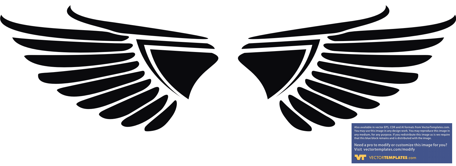 12 Eagle Wings Vector Images