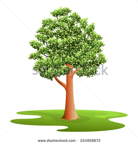Elm Tree Vector