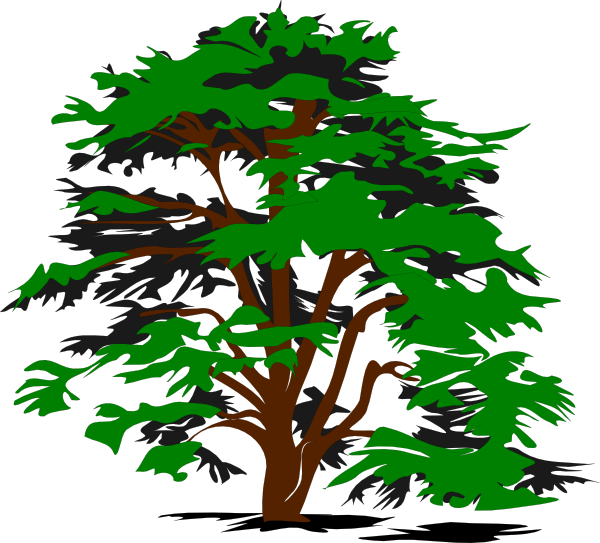 Family Tree Clip Art Vector