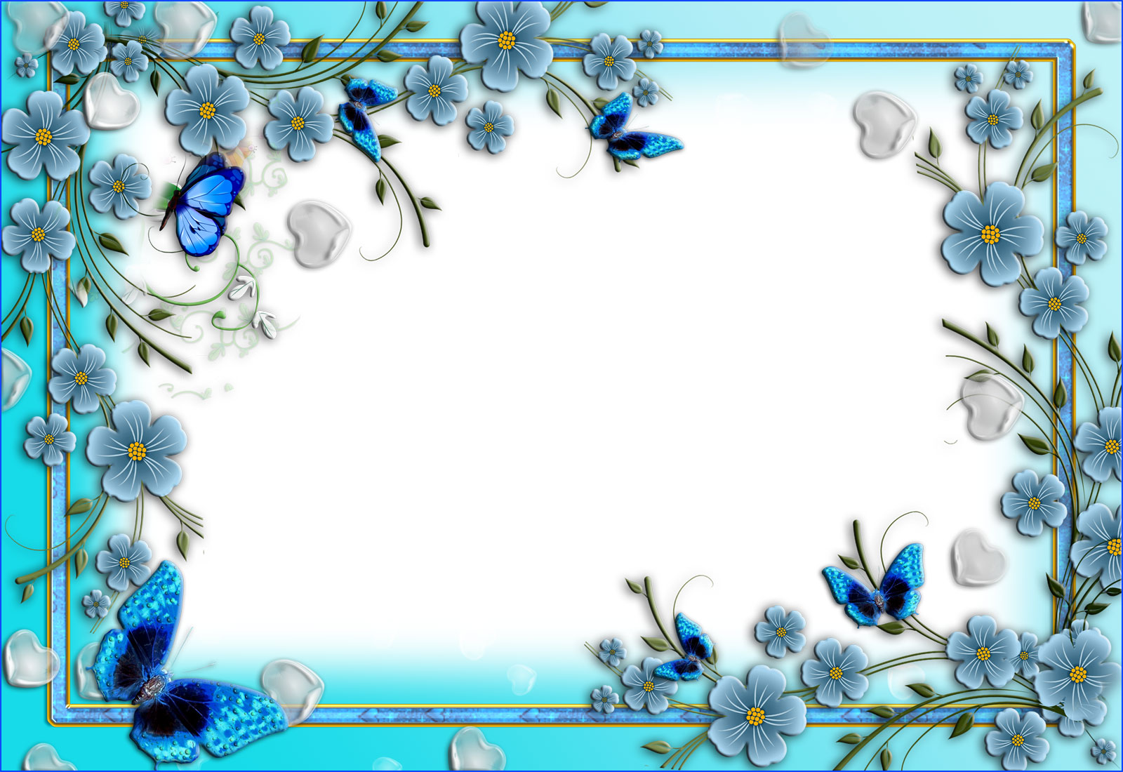 Flower and Butterfly Transparent PNG Frames
