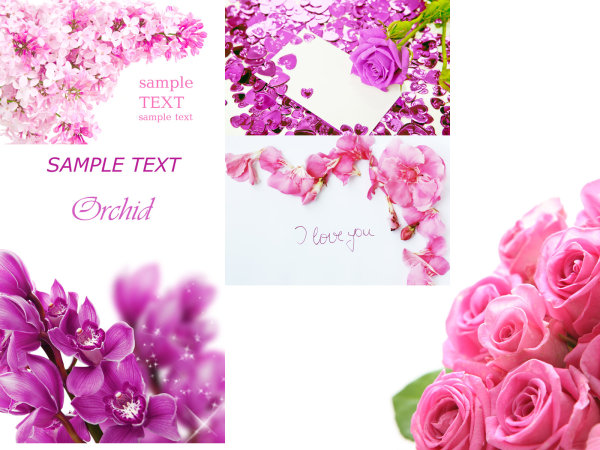 Flower Card Template Flower Card Template