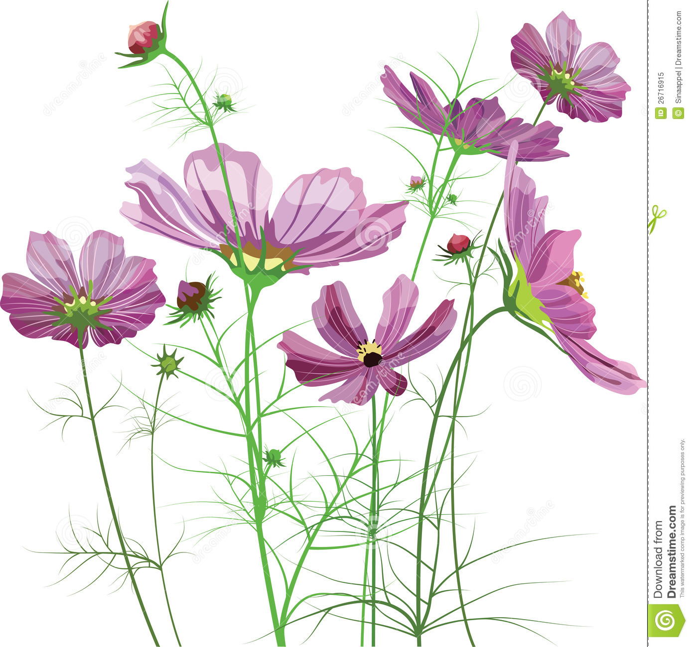 17 Vector Flower Garden Images