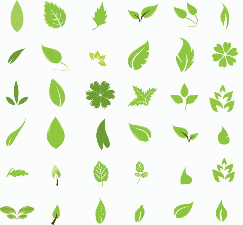 14 Simple Leaf Vector Free Images