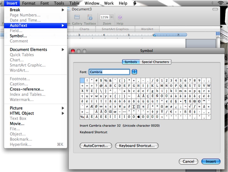 Microsoft Word Document Symbols