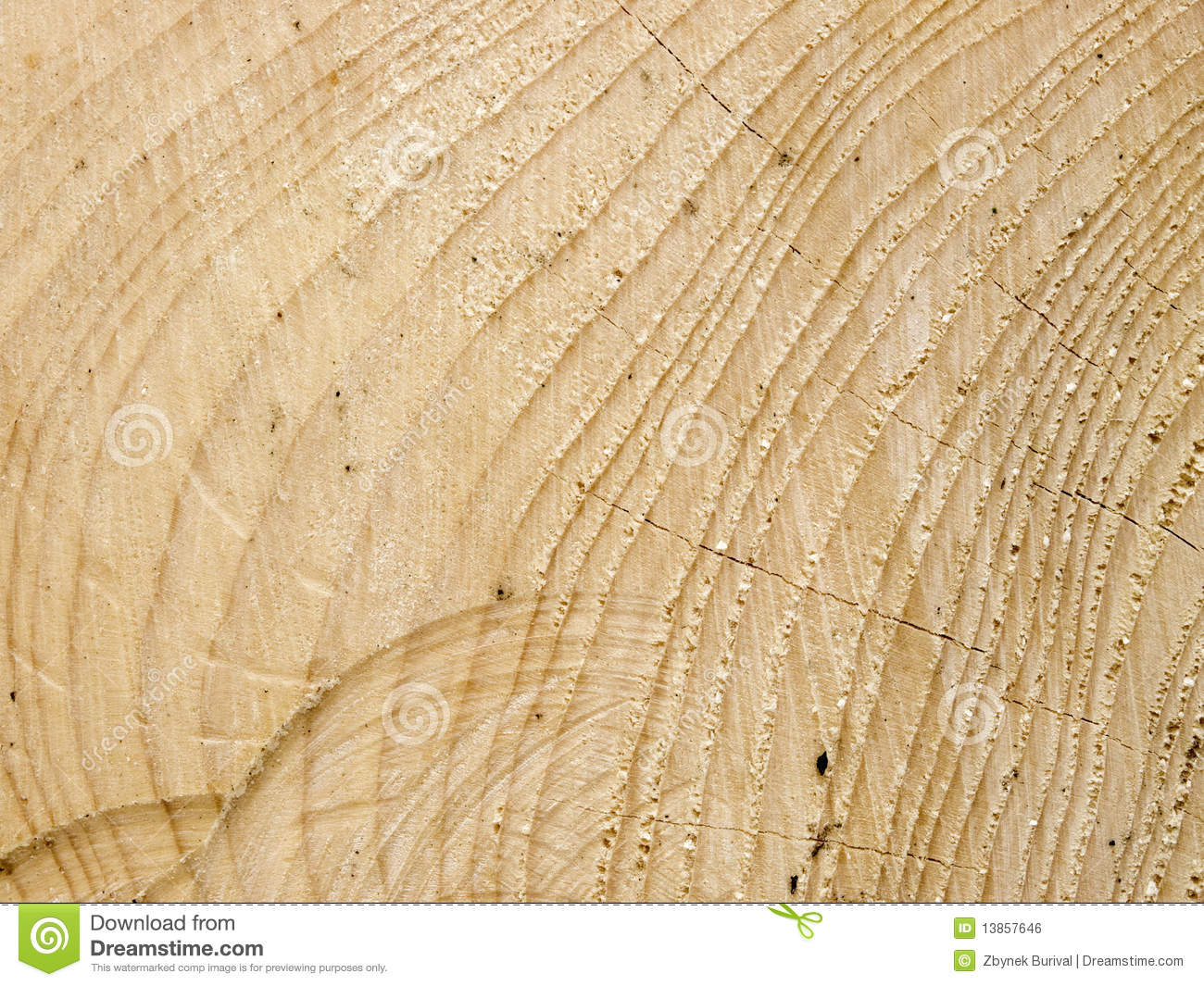 Minecraft Spruce Wood Texture
