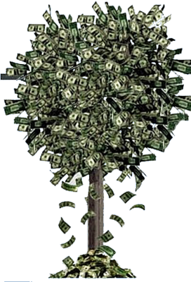 Money Falling From Tree Money Falling From Tree