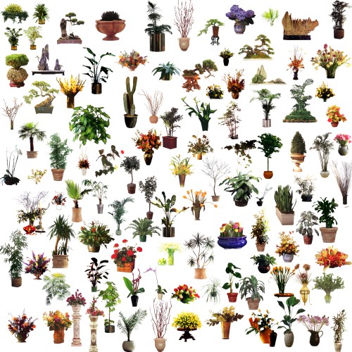 Plants for Photoshop PSD Plants for Photoshop PSD