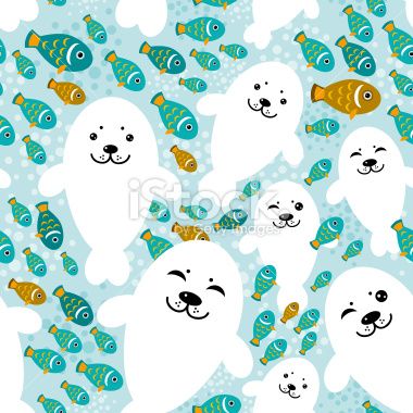 Seal Animal Vector