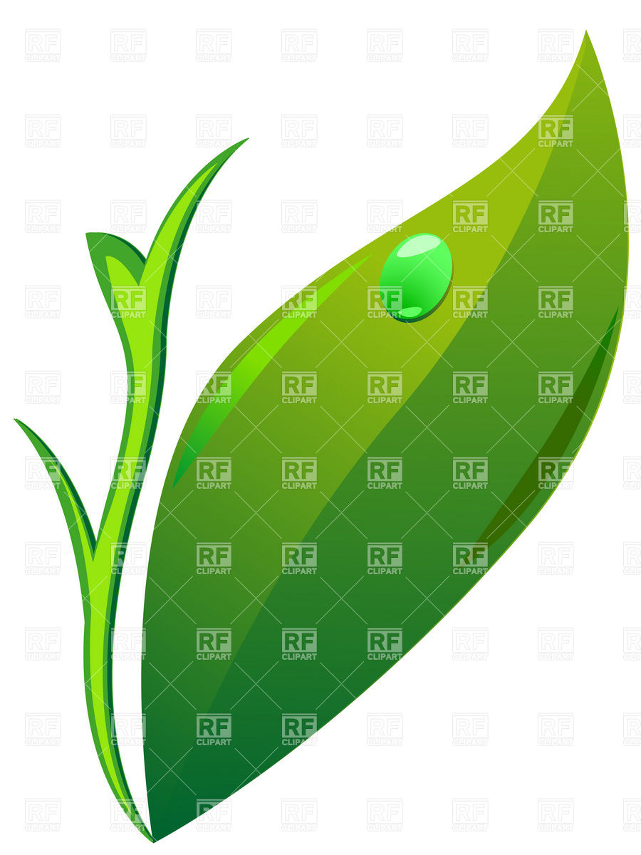 Simple Leaves Clip Art