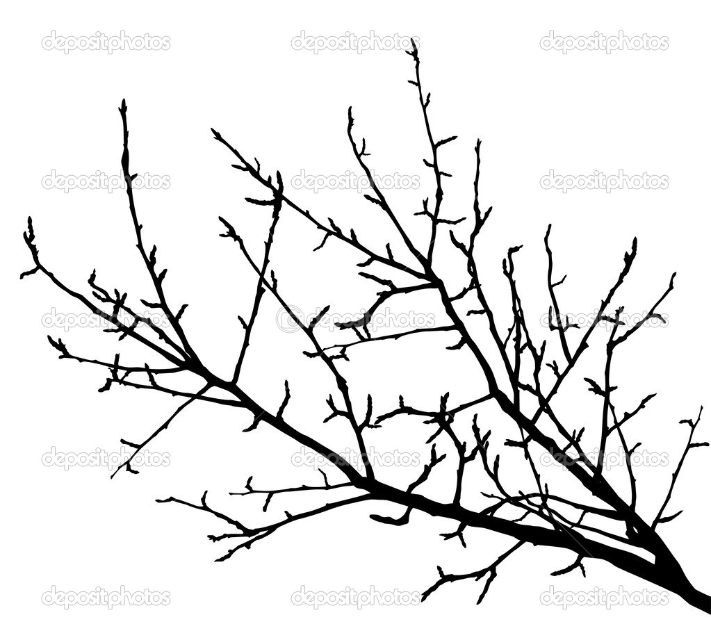 Tree Branch Silhouette Vector