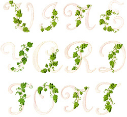 Vine Embroidery Font Alphabet