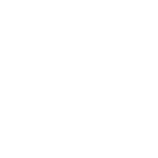 White Lock Icon