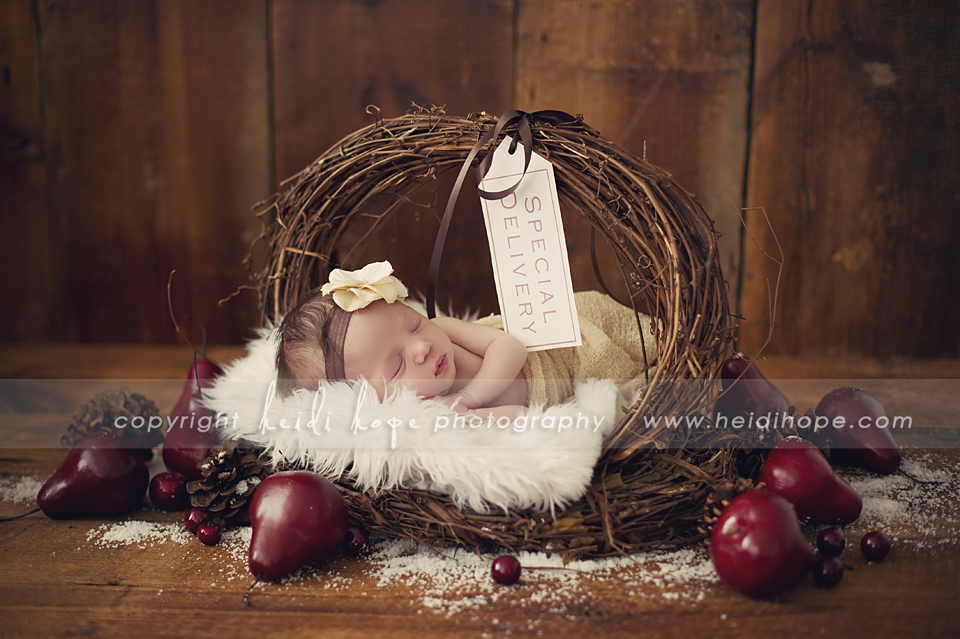 Winter Newborn Photography