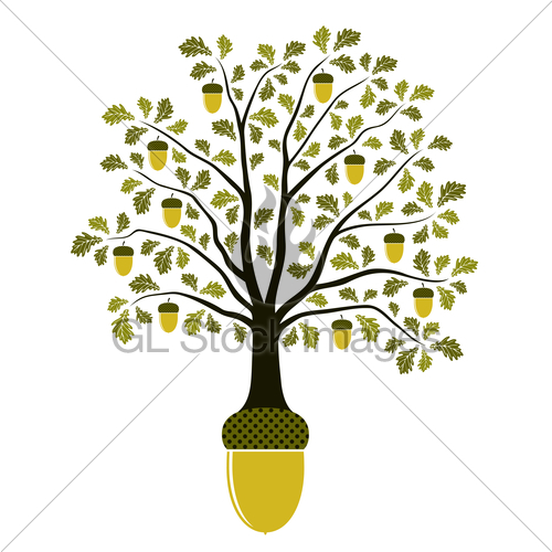 Acorn Oak Tree Clip Art