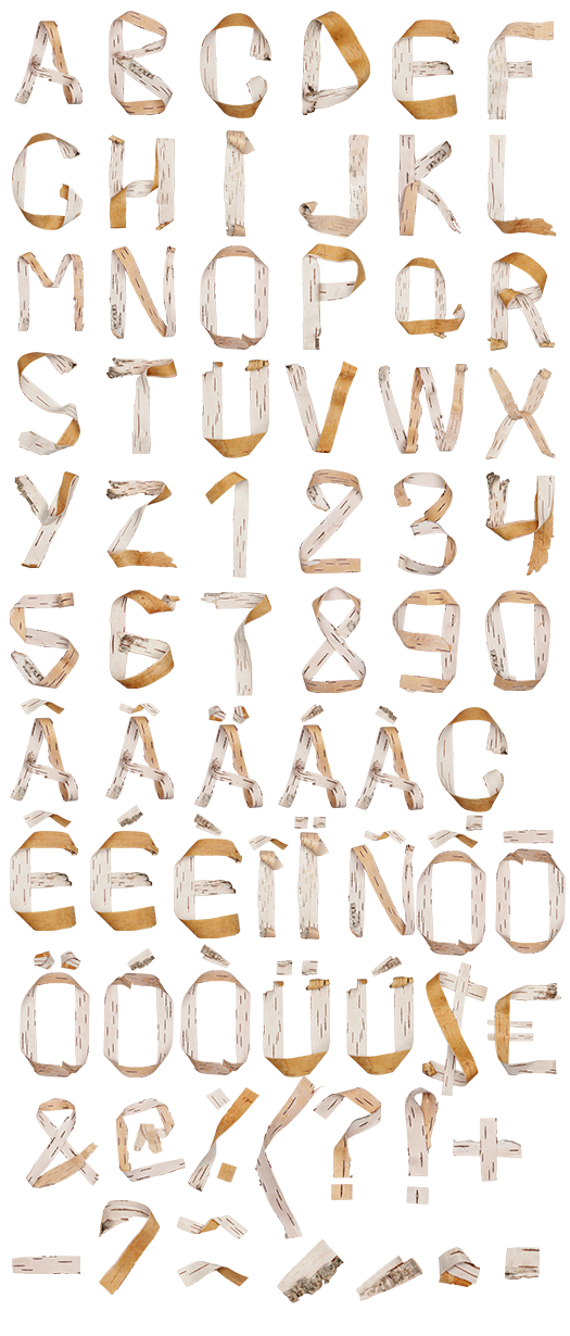 Birch Bark Font Birch Bark Font