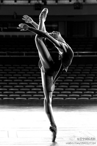 Black and White Ballet Art