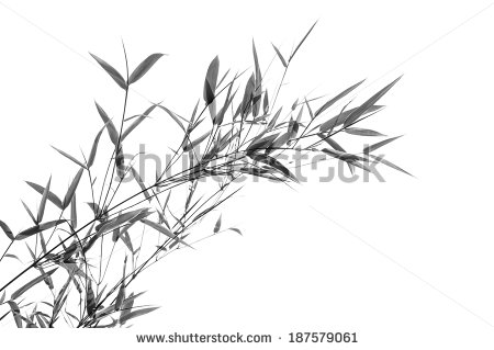Black and White Bamboo Stalk