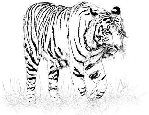 Black and White Tiger Silhouette