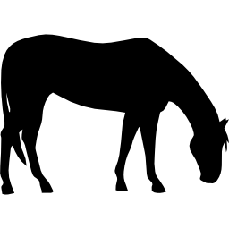 Black Horse Silhouette