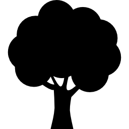 Black Tree Silhouette Icon