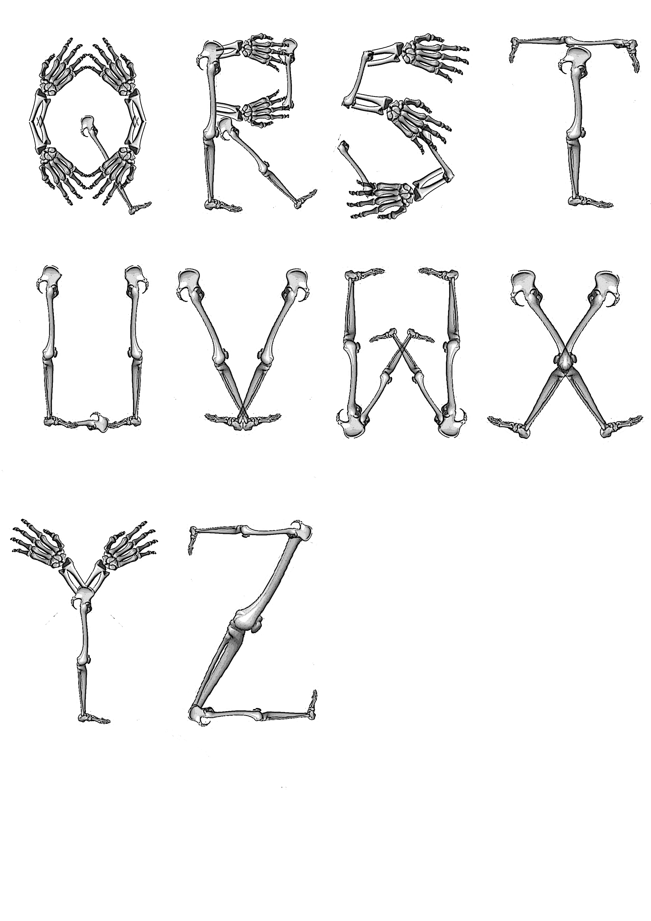 12 Bone Fonts For Word Images Skeleton Bones Font Letters, Bone Fonts